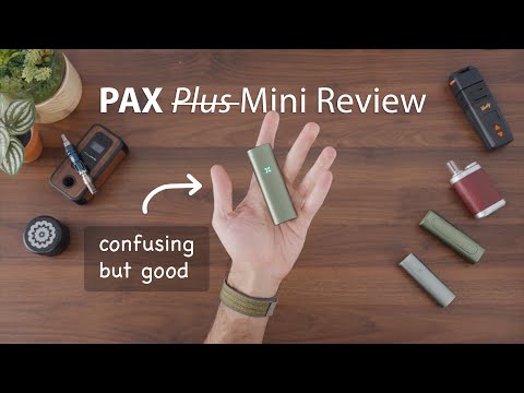 PAX Mini 2 Review [+VS. PAX Flow]