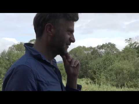 Трейлер