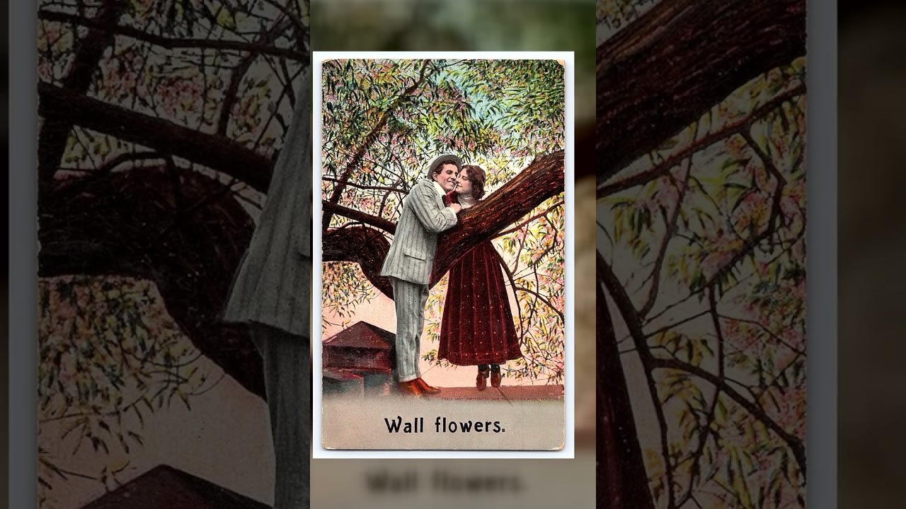 Wall Flowers, Divided Back Postcard, Romance Scene, 1911 Video