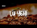 Let it be - Lu Yehi