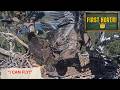 LUNA IS FLYING?! 🪽 Jumping & Hovering in the Nest — Fledge Is HERE! | Big Bear Bald Eagles 2026