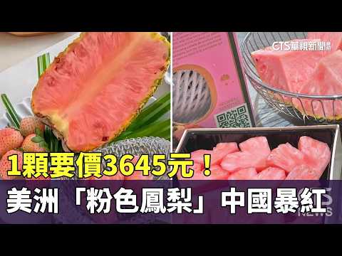 1顆要價3645元！　美洲「粉色鳳梨」中國暴紅