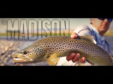 download lagu mp3 mp4 Madison Fly Fishing, download lagu Madison Fly Fishing gratis, unduh video klip Madison Fly Fishing