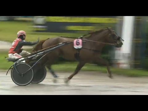 Suomenhevosten Suur-Hollola-ajo 2023 - Evartti