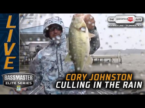 In the rain, Johnston is culling