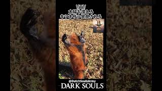 \[T]/太陽を賛美するキツネザル発見されるｗｗ #darksouls  #ダークソウル  #shorts