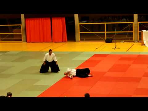 Seminar with Christian Tissier Shihan, 7. Dan Aikikai, in Extertal/Germany 2012, Embukai