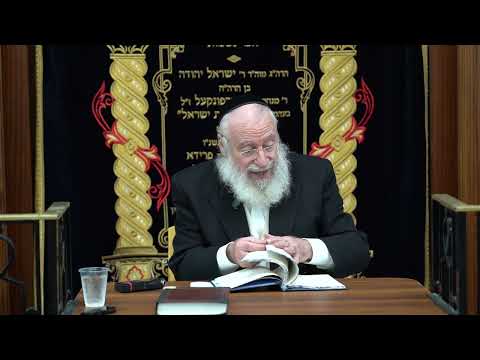 Saying Korbanos Every Day | Weekly Shiur by Rav Asher Weiss Shlit"a (Vayikra 5786)
