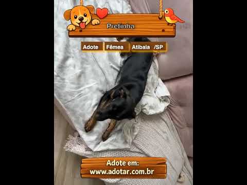 Vídeo de Pretinha 