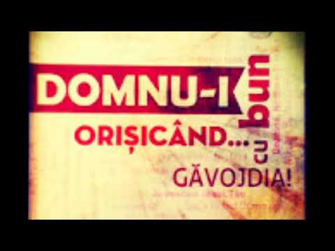 Ana Maria Cuc- Osana, Amin, osana