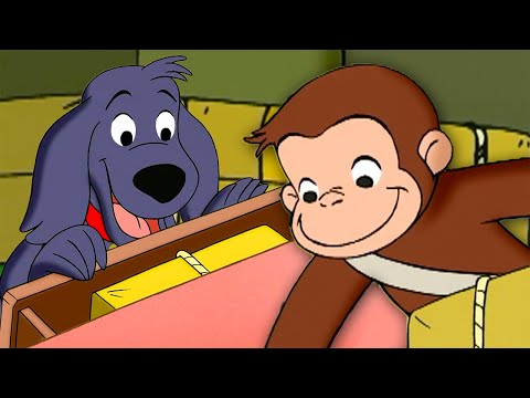 ¡Qué buen perro! | Jorge El Curioso En Español