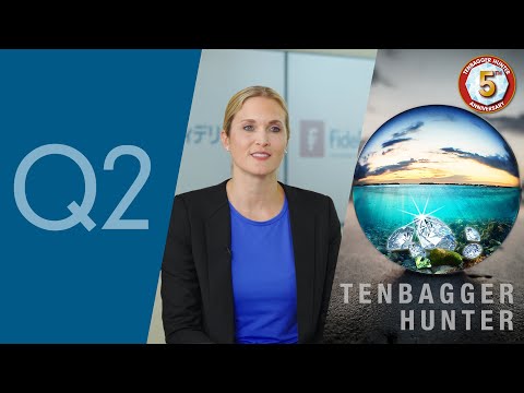 フィデリティ・世界割安成長株投信（愛称テンバガー・ハンター）設定5周年記念運用担当者来日インタビューQ2