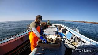 preview picture of video 'PEI Lobster fishing June 1st 2018 out of murray harbour'