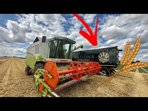 #707- Film dla hejterów! Euforia kolejny rok niezawodna! Żniwa na pełnej!