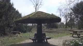preview picture of video 'Wetterpilz im Selikumer Park, Neuss'