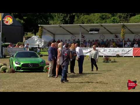 Elran Cup 2018 - Prizegiving