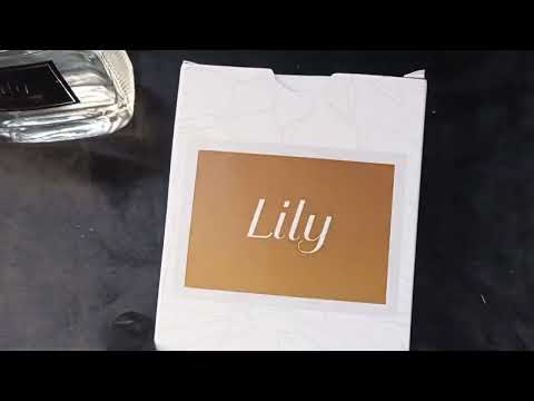 PERFUME INSPIRAÇÃO LILY EAU DE PARFUM 100 ML + PROVADOR