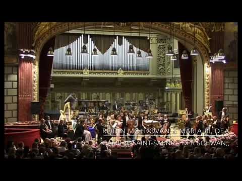 Rodin Moldovan & Maria Bildea