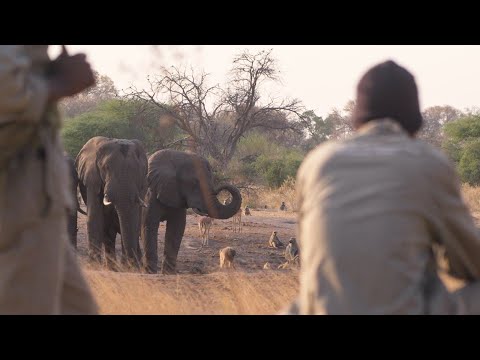 Living with wildlife in Botswana: Godlop's story