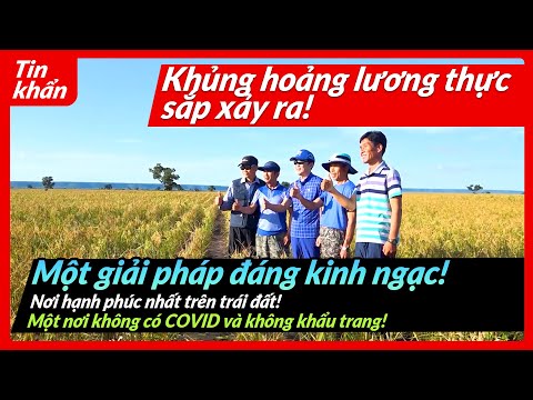 [Vietnamese 베트남어] Một thiên đường mơ ước, một niềm hi vọng của thế giới | Nông trại Doalnara Oasis