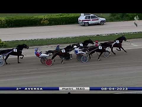 Aversa trotto 8 Aprile 2023 - 3° Corsa