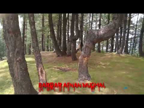 beautiful view of potty !Dhulli