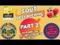 Philly Sour Yeast Info Souring Method Sour Beer Brewing Part 3 RaspBerry Sour