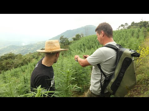 Strain Hunters RAW: Colombia - Behind the scene's with VICE - Part 3