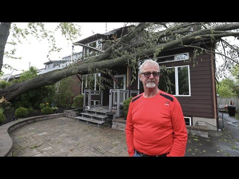 MOTHER NATURE IS THE BOSS: Residents of south Ajax survey storm's ferocity
