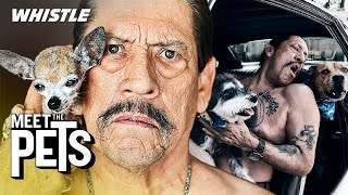 Acting LEGEND Danny Trejo Is OBSESSED With His Dogs & Car Collection video