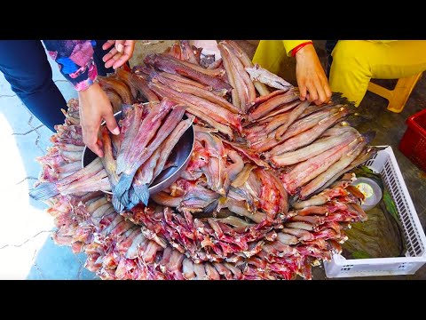 A Walk Around Boeung Trabaek Market In Phnom Penh City