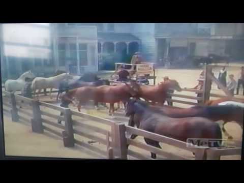 David Canary Bonanza