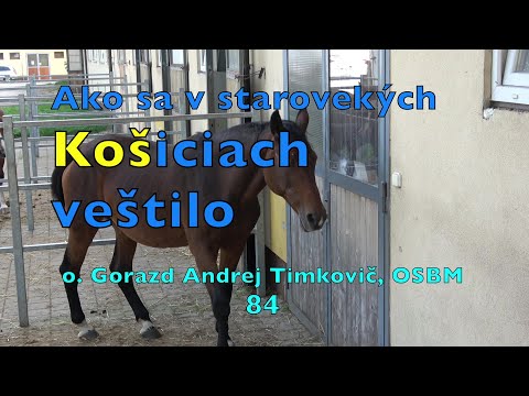 Timkovic 84 Ako sa v starovekych Kosiciach vestilo 2020