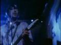 Paul Weller - Peacock Suit