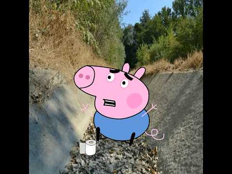 GEORGE GOES TO THE BATHROOM AND THIS HAPPENS 🧻🚽