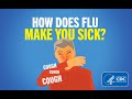 How Does Flu Make You Sick?