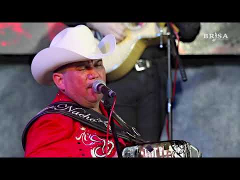 Alma Enamorada - Los Amables del Norte de Nacho Hernández