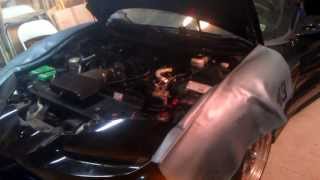 Rebirth of my 1998 Trans Am!