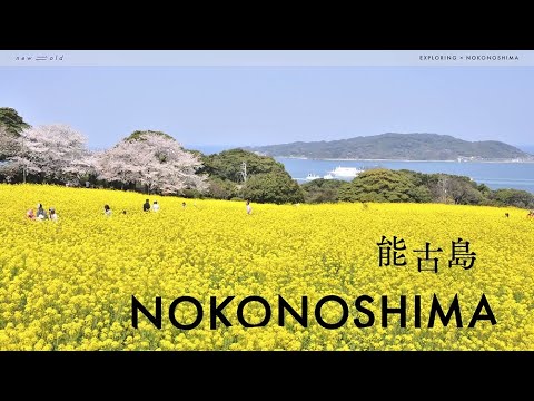 new⇆old Exploring Nokonoshima