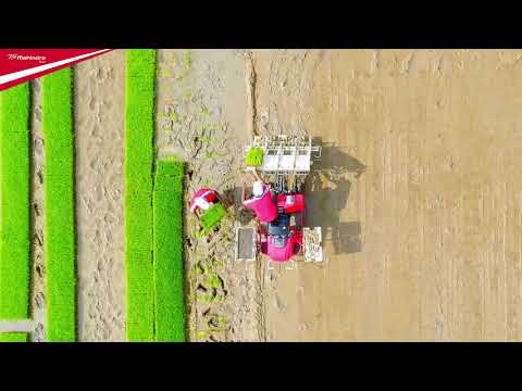Mahindra 4 Rice Paddy Transplanter Machine