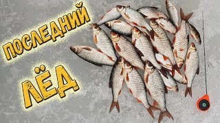 Ссылка