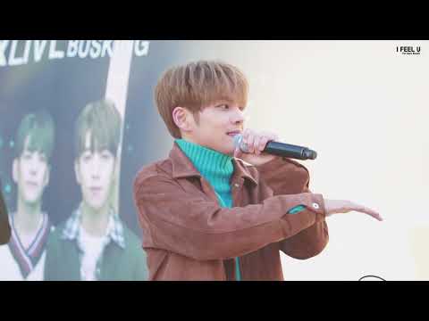 171119)데이식스 - Pandora , Free하게 @신촌버스킹 (wonpil focus)