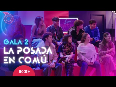 La posada en comú de la Gala 2: bona feina però sense abaixar el ritme! | Eufòria