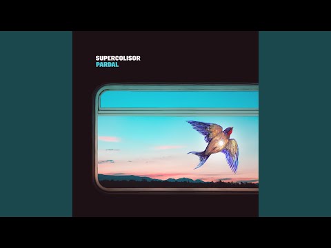 Pardal - Supercolisor