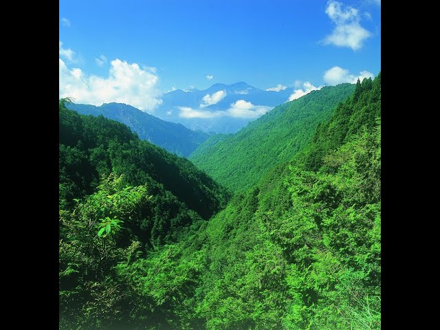 太平山國家森林遊樂區景觀平台