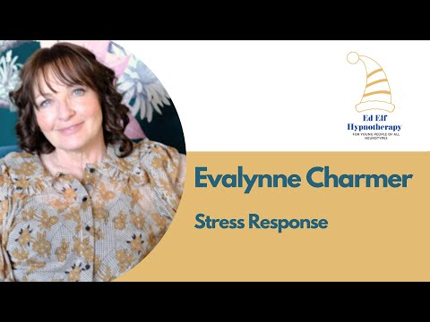 what is a stress response?