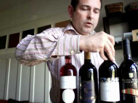 General Overview of Lagrein - James Melendez