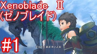 #1【Xenoblade2】壮大な冒険の始まり！【ゼノブレイド2】