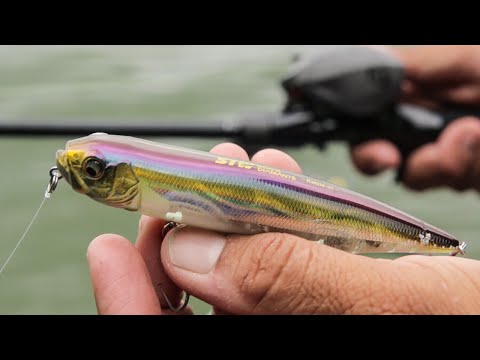 Walking Bait Topwater Tipps: Grundkenntnisse bis Fortgeschrittene