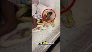 La niña de 6 años que duerme con serpientes gigantes 😮